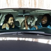 Ramy - galeria zdjęć - filmweb
