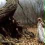 Jeździec bez głowy - galeria zdjęć