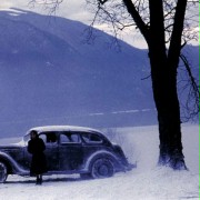 Cedry pod śniegiem - galeria zdjęć - filmweb