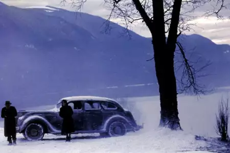 Cedry pod śniegiem - galeria zdjęć - filmweb