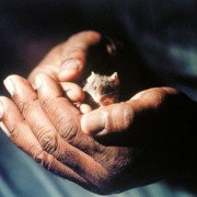The Green Mile - galeria zdjęć - filmweb