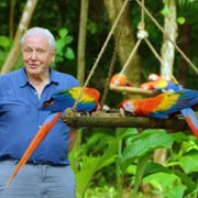 Attenborough's Life in Colour - galeria zdjęć - filmweb