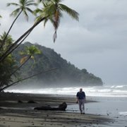 Attenborough's Life in Colour - galeria zdjęć - filmweb