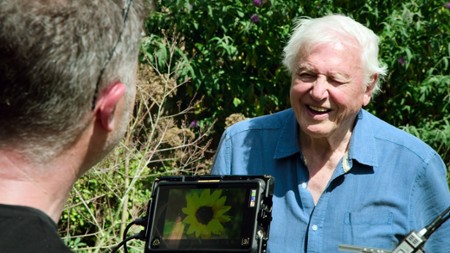 David Attenborough: Życie w kolorze - galeria zdjęć - filmweb