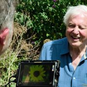 David Attenborough: Życie w kolorze - galeria zdjęć - filmweb