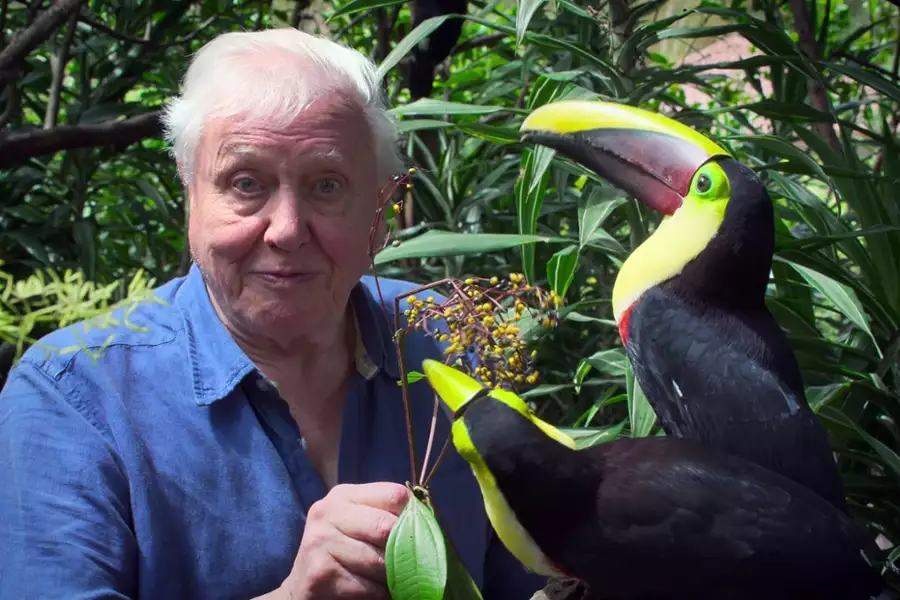 David Attenborough: Życie w kolorze - galeria zdjęć - filmweb