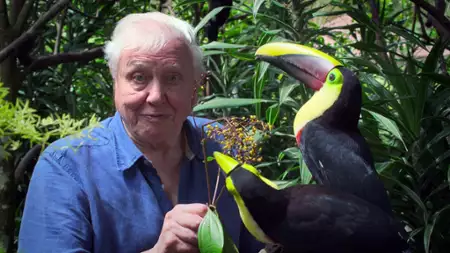 David Attenborough: Życie w kolorze - galeria zdjęć - filmweb