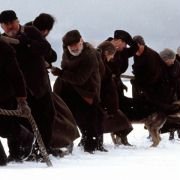 The Shipping News - galeria zdjęć - filmweb