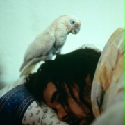 Being John Malkovich - galeria zdjęć - filmweb