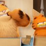 Garfield - galeria zdjęć