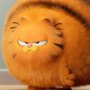 Garfield - galeria zdjęć