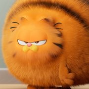 Garfield - galeria zdjęć - filmweb