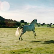 Nuestro tiempo - galeria zdjęć - filmweb