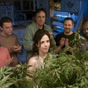 Weeds - galeria zdjęć - filmweb