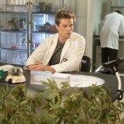 Weeds - galeria zdjęć - filmweb