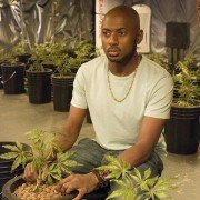 Weeds - galeria zdjęć - filmweb