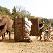 Min søsters børn i Afrika - galeria zdjęć - filmweb