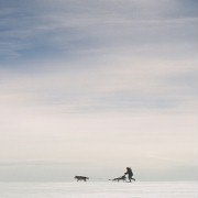 Ága - galeria zdjęć - filmweb