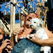 Asterix i Obelix: Misja Kleopatra - galeria zdjęć - filmweb