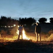 Wszystkie piękne koniki - galeria zdjęć - filmweb