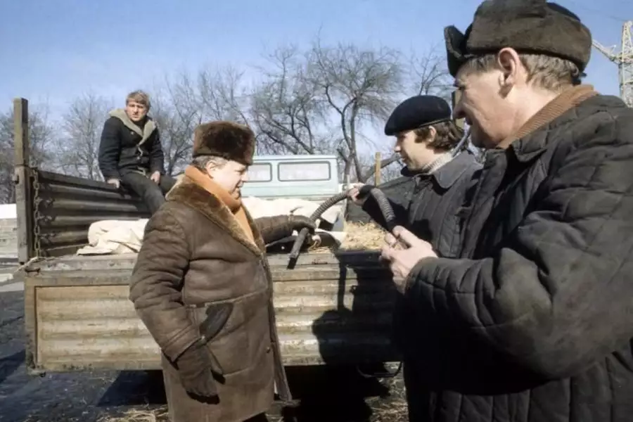 Miś - galeria zdjęć - filmweb