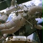 IMAX: Hubble 3D - galeria zdjęć