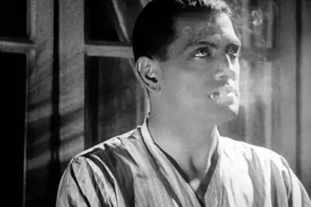 Pies andaluzyjski - galeria zdjęć - filmweb