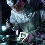 Osaczeni - galeria zdjęć - filmweb