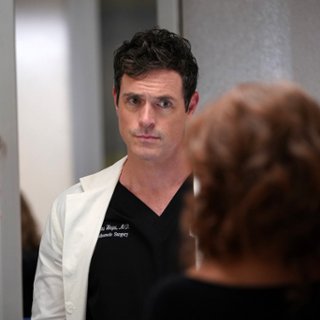 Dr Nicholas Hayes