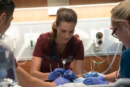 Chicago Med - galeria zdjęć - filmweb
