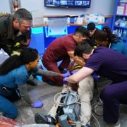 Chicago Med - galeria zdjęć - filmweb