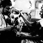Anioł zagłady - galeria zdjęć - filmweb