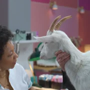 Animal - galeria zdjęć - filmweb