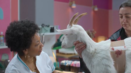 Sezon 1 Odcinek 7 Wizyta