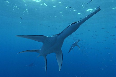Morskie Stwory 3D: Prehistoryczna przygoda - galeria zdjęć - filmweb