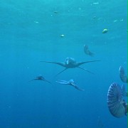 Sea Monsters: A Prehistoric Adventure - galeria zdjęć - filmweb