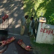 Złość - galeria zdjęć - filmweb
