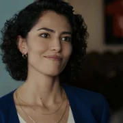 The Night Agent - galeria zdjęć - filmweb