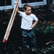Stir of Echoes - galeria zdjęć - filmweb