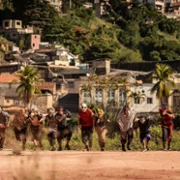 Wyścig bestii - galeria zdjęć - filmweb