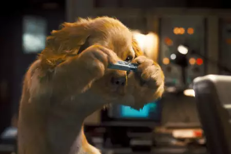 Psy i koty: Odwet Kitty - galeria zdjęć - filmweb
