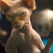 Psy i koty: Odwet Kitty - galeria zdjęć - filmweb