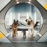 Cats & Dogs: The Revenge of Kitty Galore - galeria zdjęć - filmweb