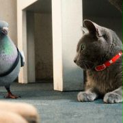 Cats & Dogs: The Revenge of Kitty Galore - galeria zdjęć - filmweb