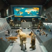 Cats & Dogs: The Revenge of Kitty Galore - galeria zdjęć - filmweb