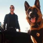 Cats & Dogs: The Revenge of Kitty Galore - galeria zdjęć - filmweb