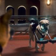Cats & Dogs: The Revenge of Kitty Galore - galeria zdjęć - filmweb