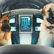 Cats & Dogs: The Revenge of Kitty Galore - galeria zdjęć - filmweb