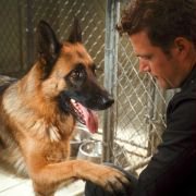 Cats & Dogs: The Revenge of Kitty Galore - galeria zdjęć - filmweb