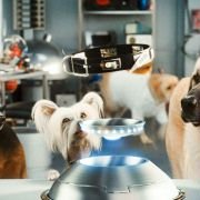 Cats & Dogs: The Revenge of Kitty Galore - galeria zdjęć - filmweb
